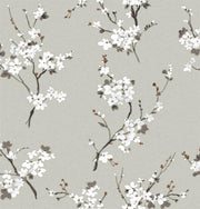 Omega Cherry Blossom Wallpaper