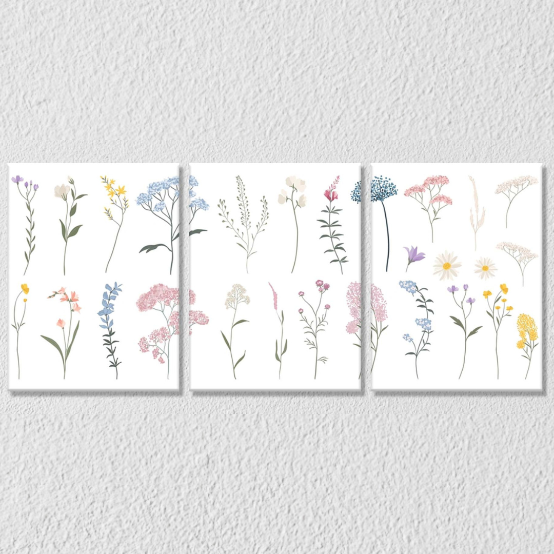 Different Floral Plants, Set Of 3