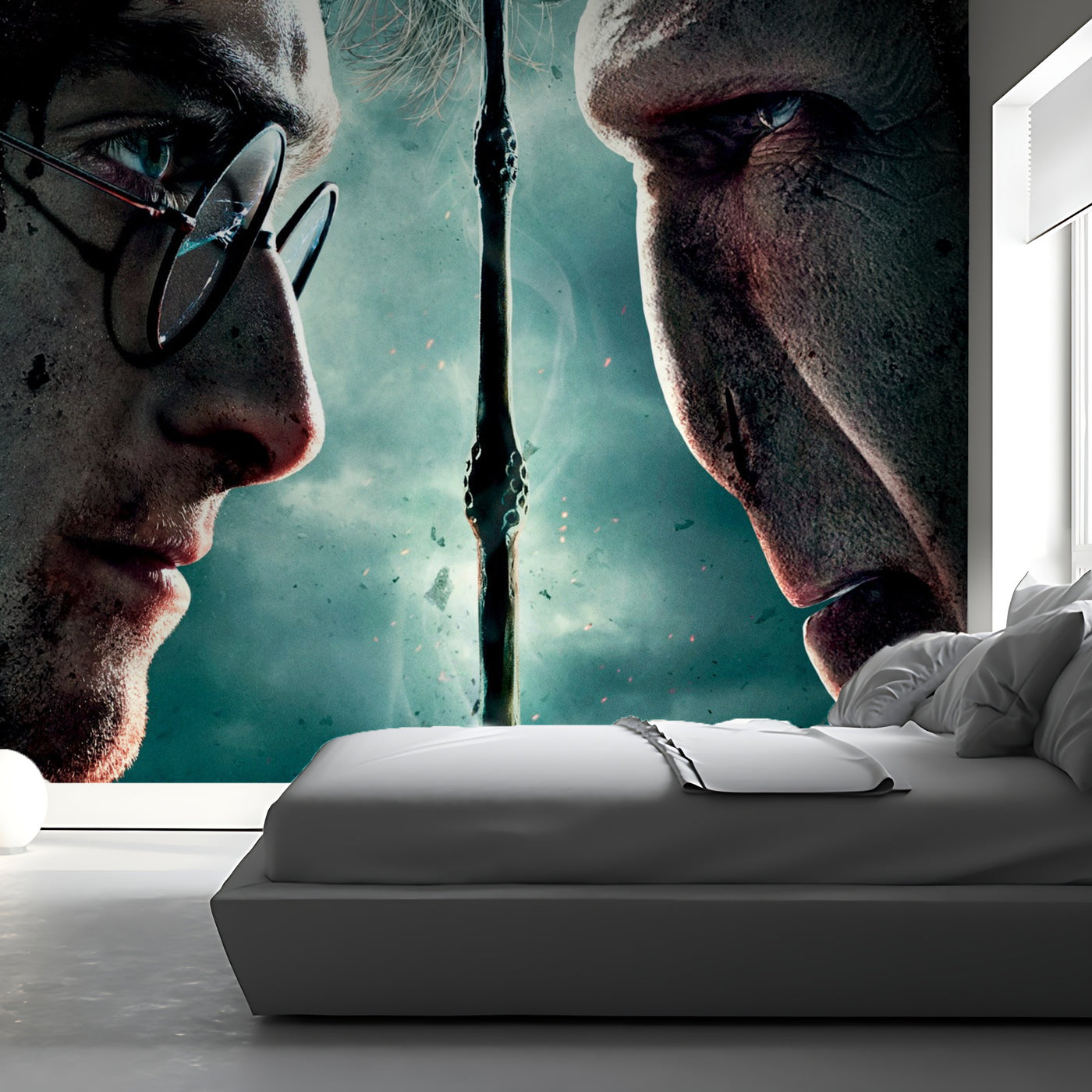 Harry & Voldermort Wallpaper