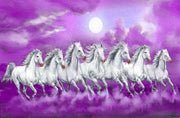 White Running Horses Self Adhesive Sticker For Wardrobe