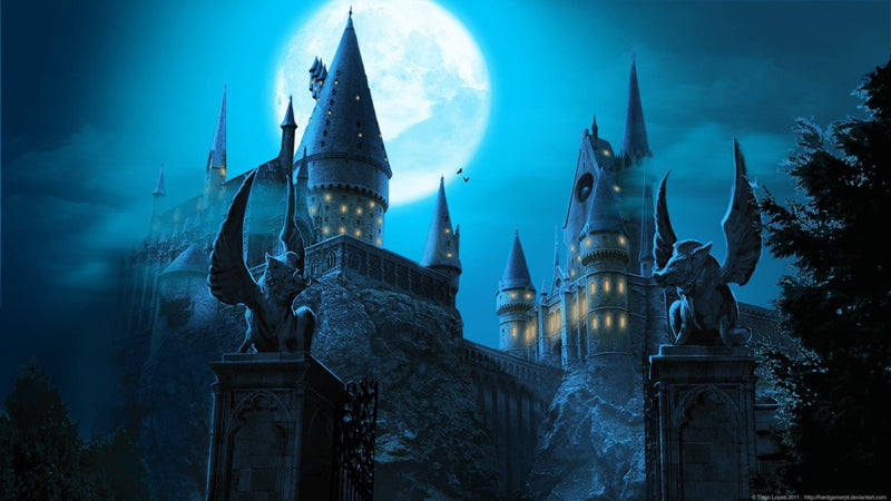 Harry Potter Witch Craft Wallpaper