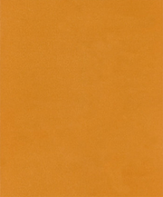 Las Vegas faded pattern Wallpaper