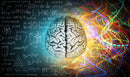 Brain Scientific Abstract Wallpaper