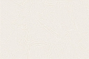 Nice Non Woven Detailed Wallpaper