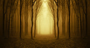Yellow Nature Tree Art Self Adhesive Sticker For Refrigerator