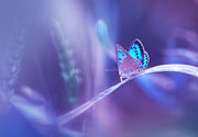 Purple Blue Butterflys Painting Self Adhesive Sticker For Table