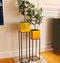 Set of Two Square Planter With Yellow Stand