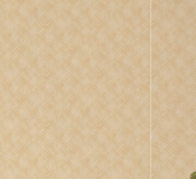 Sequence Plain Non Woven Wallpaper