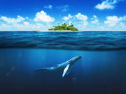 Sky And Underwater Nature Self Adhesive Sticker For Wardrobe