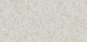 Veluce Scratchted wall Wallpaper