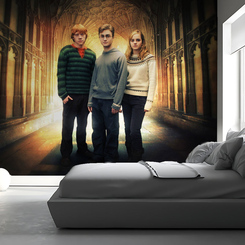 Harry Potter Trio Wallpaper
