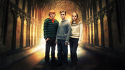 Harry Potter Trio Wallpaper