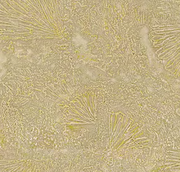 Miracle Vinyl Stensil Wallpaper