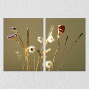 Bloom Floral Canvas Art, Set Of 2