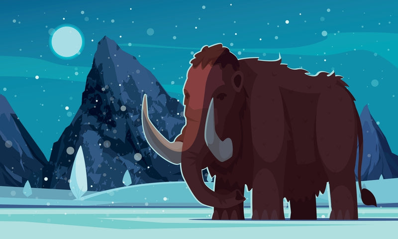 Wooly Mammoth School Wallpaper