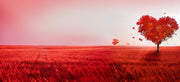 Beautiful Orange Tree Wallpaper