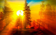 Sunrays From Trees Painting Self Adhesive Sticker For Wardrobe