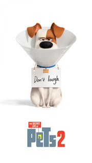 Life of Pets Anime Self Adhesive Sticker For Door