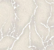 Miracle Marble Vine Wallpaper
