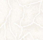 Miracle Marble Vine Wallpaper