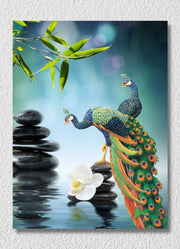 Two Peacocks And Water