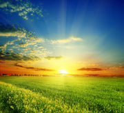 Colourful Sunset Painting Self Adhesive Sticker For Wardrobe