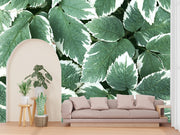 Bunch Of Leaves Customized Wallpaper