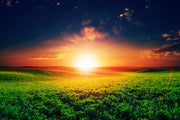 Sunset In Green Land Painting Self Adhesive Sticker For Wardrobe