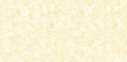 Veluce Polished Marble Wallpaper