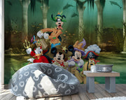 Donald Duck Customised Wallpaper For Kids wall coverings