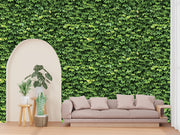 Natural _ Green Leaves Wallpaper
