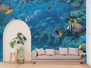 Natural _ Under Sea Wallpaper