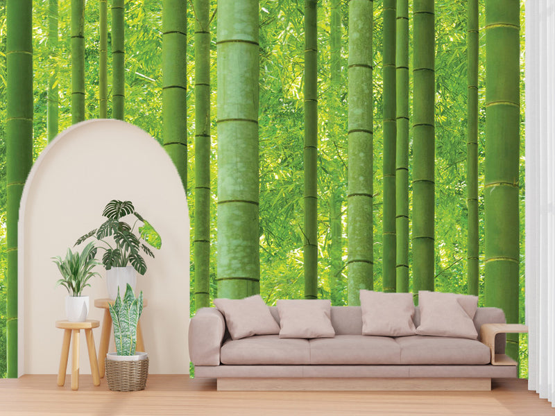 Natural _ Bamboo Forest Wallpaper