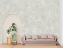 Natural _ Concrete Wall Wallpaper