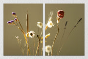 Bloom Floral Canvas Art, Set Of 2