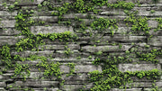 Natural _ Stone And Green Wallpaper