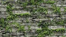 Natural _ Stone And Green Wallpaper