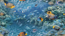 Natural _ Under Sea Wallpaper