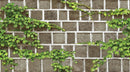 Natural _ Square Stone Wallpaper