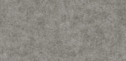 Natural _ Sprayed Concrete Wallpaper