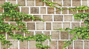 Natural _ Square Stone Wallpaper
