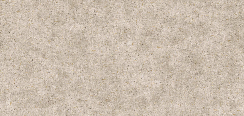 Natural _ Sprayed Concrete Wallpaper