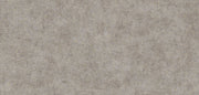 Natural _ Sprayed Concrete Wallpaper