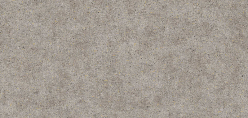 Natural _ Sprayed Concrete Wallpaper