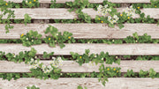 Natural _ Wooden And Plants Wallpaper