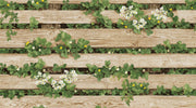 Natural _ Wooden And Plants Wallpaper
