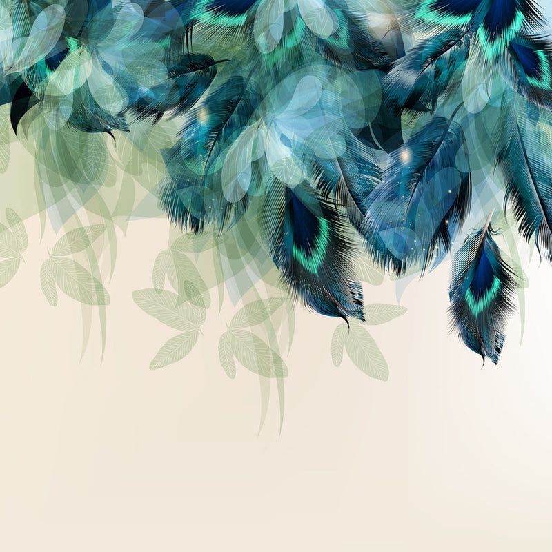 Beautifu Feather Wallpaper