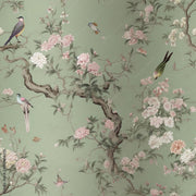 Bird Majesty Wallpaper