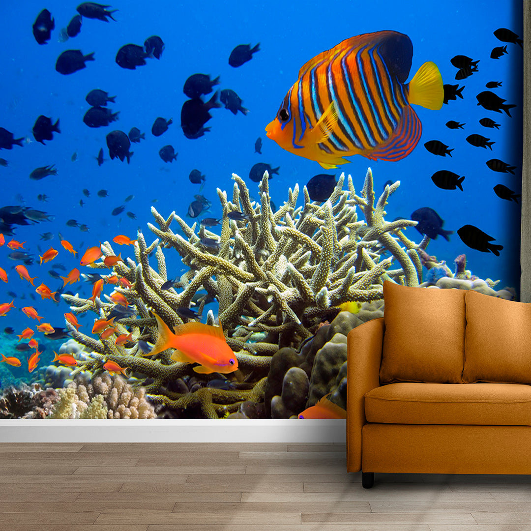 Finding Nimo Fishes undersea wallpaper