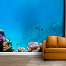 Wallpaper Ocean Coral Reef